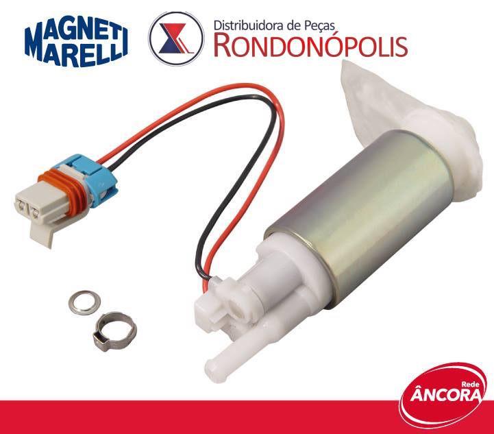 magneti curio nl.jpeg