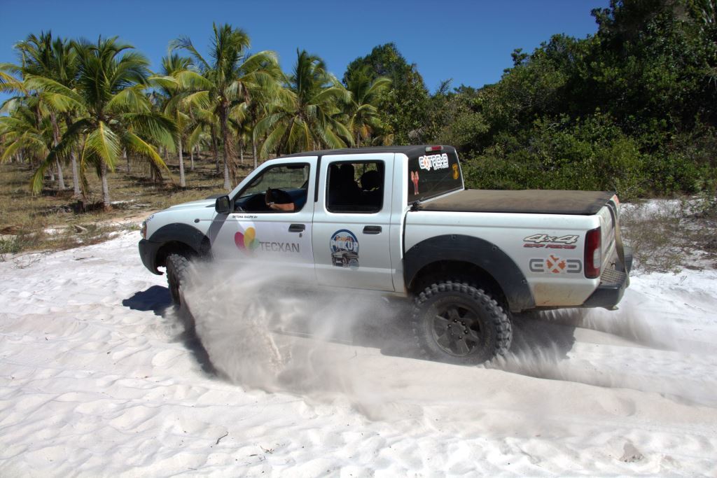 SAPÃO LEVANTANDO AREIA.jpg