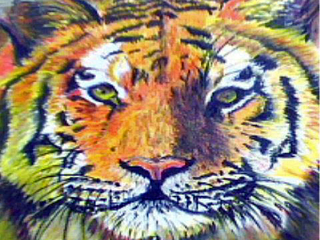 tigre_editado-1.jpg