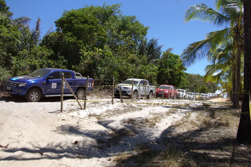 FILA LINDA DE 4X4 2.jpg