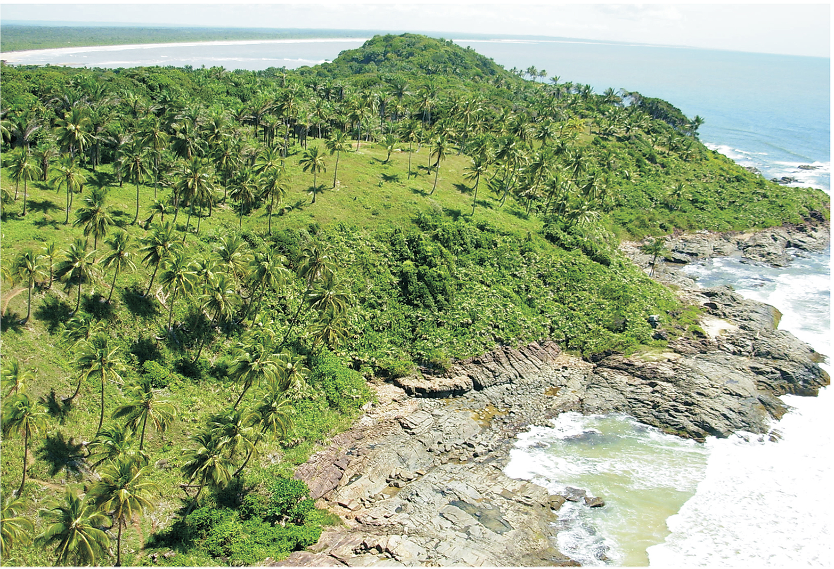 RESENDE_DEZ 2010-2.jpg