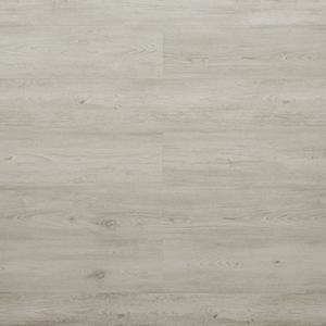 Castilla - 209 KW 6154 Maple.jpg