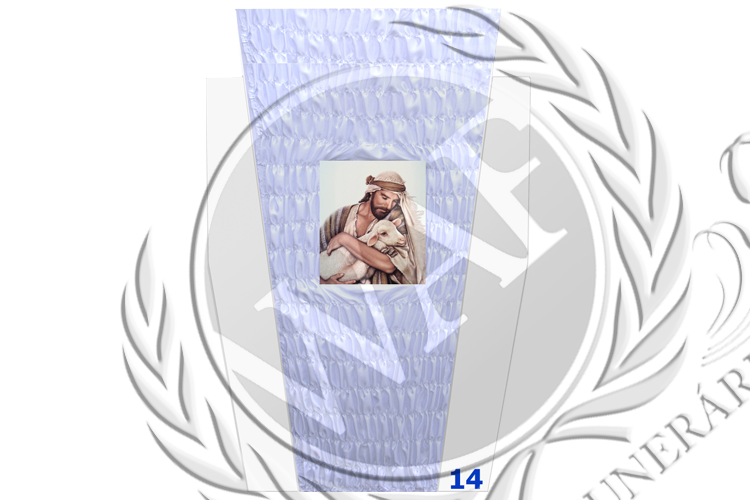 Edredon 14 Marca.png