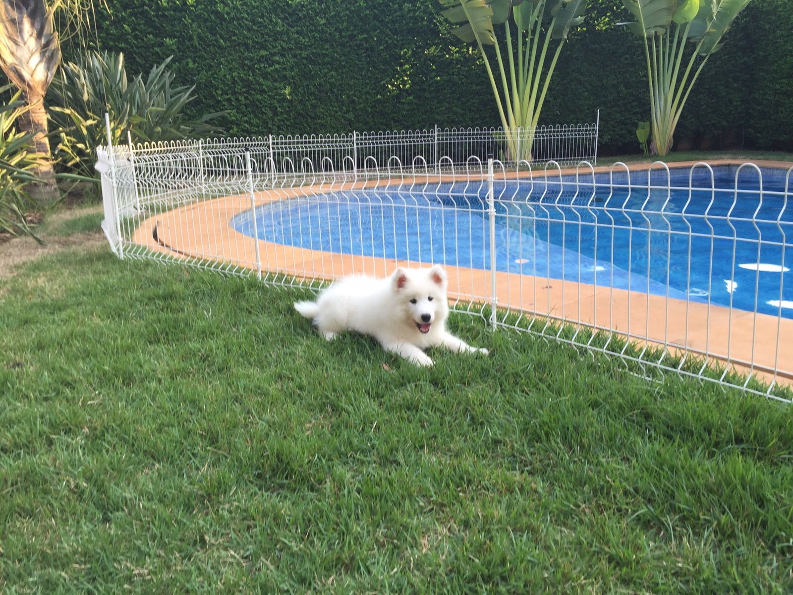 CelularBruno-26.10.15 1136.jpg