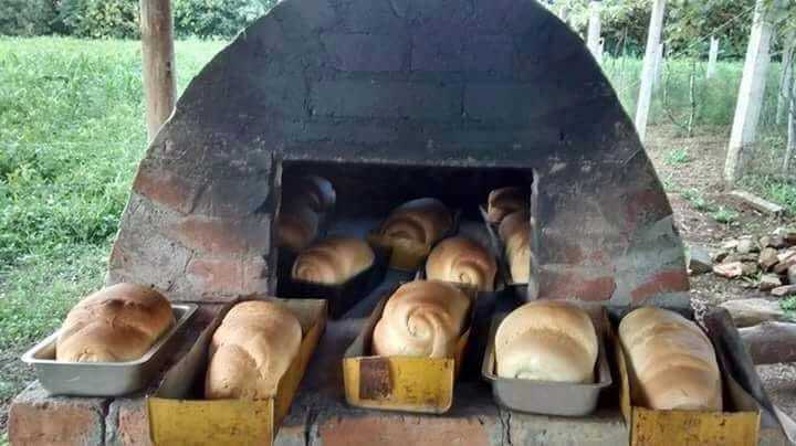 WhatsApp Image 2018-08-19 at 11.26.37 pao.jpeg