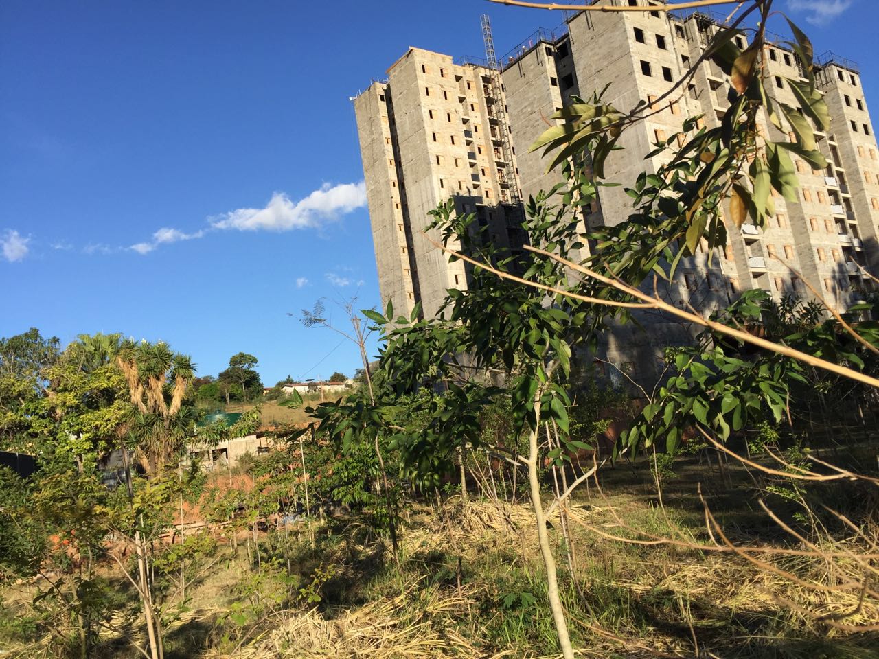 Acompanhamento de Obra - Biocon Ambiental