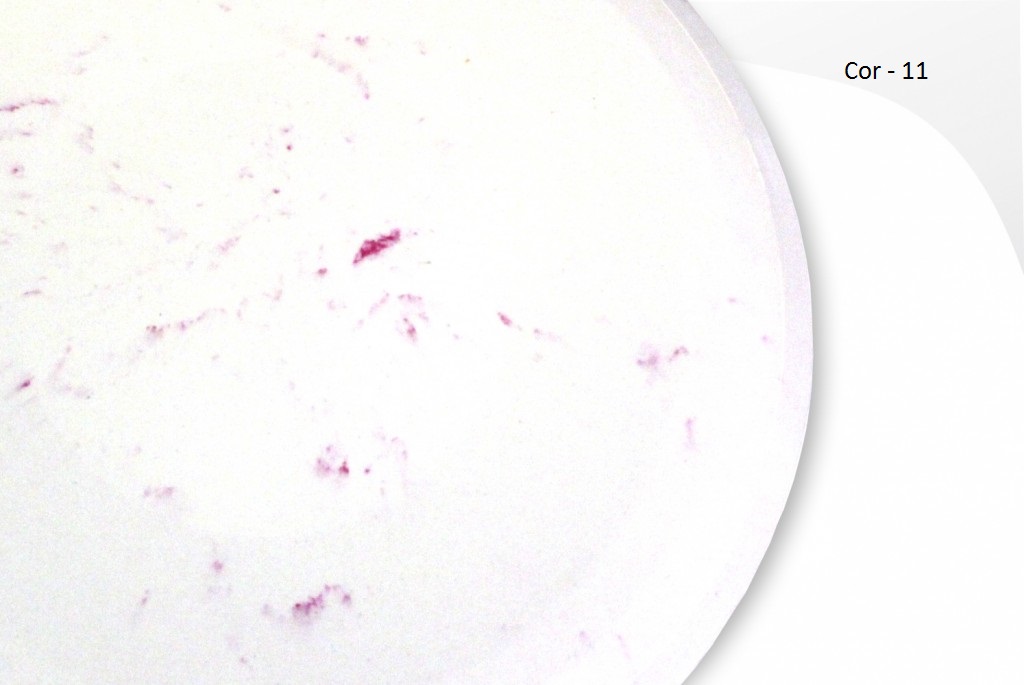 11 - Marmorizado vinho.jpg