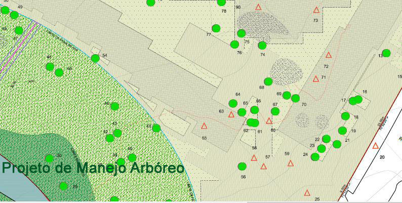 Projeto de Manejo Arbóreo - Biocon Ambiental
