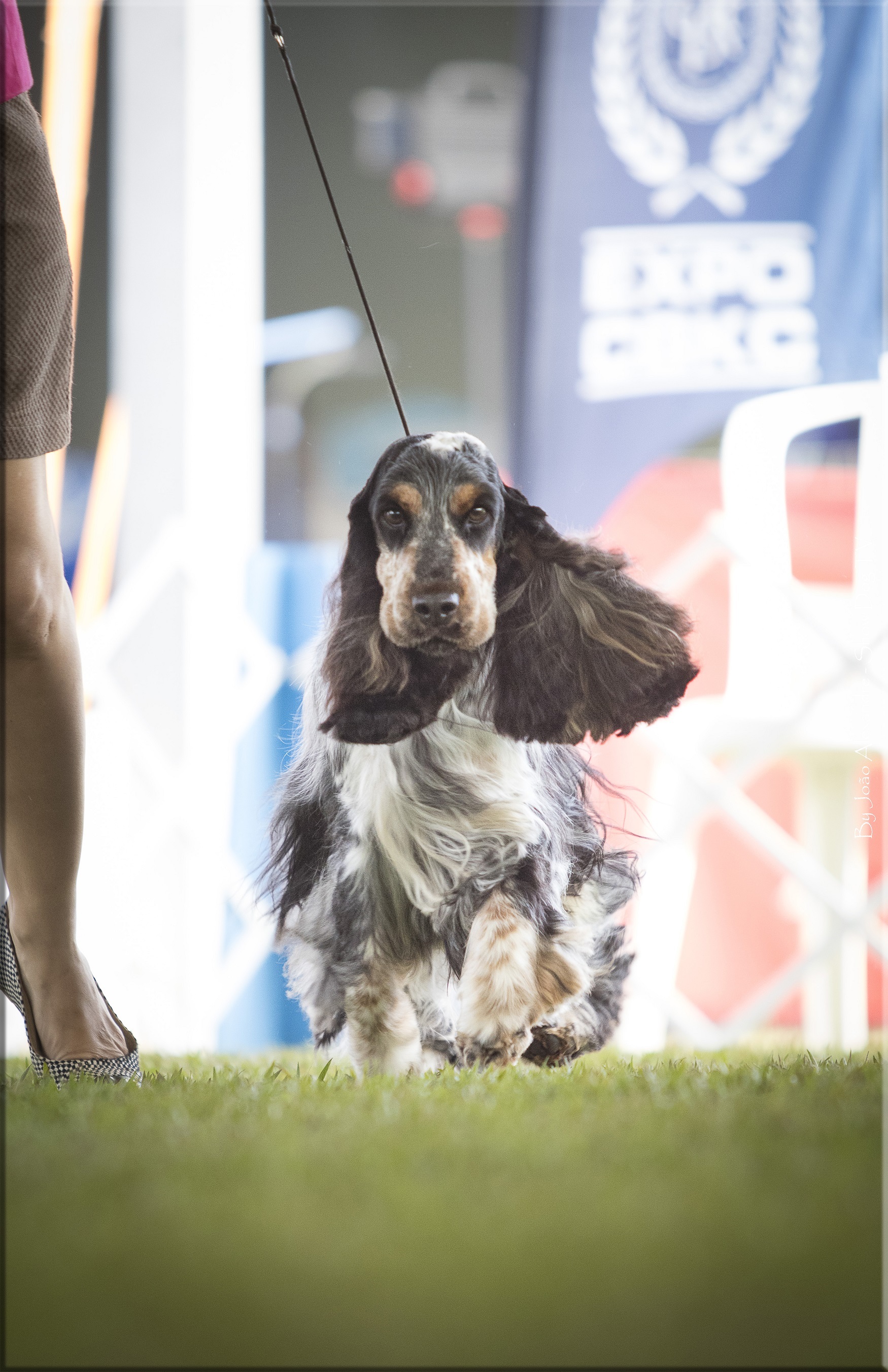 IMG_7752 copiarb.jpg