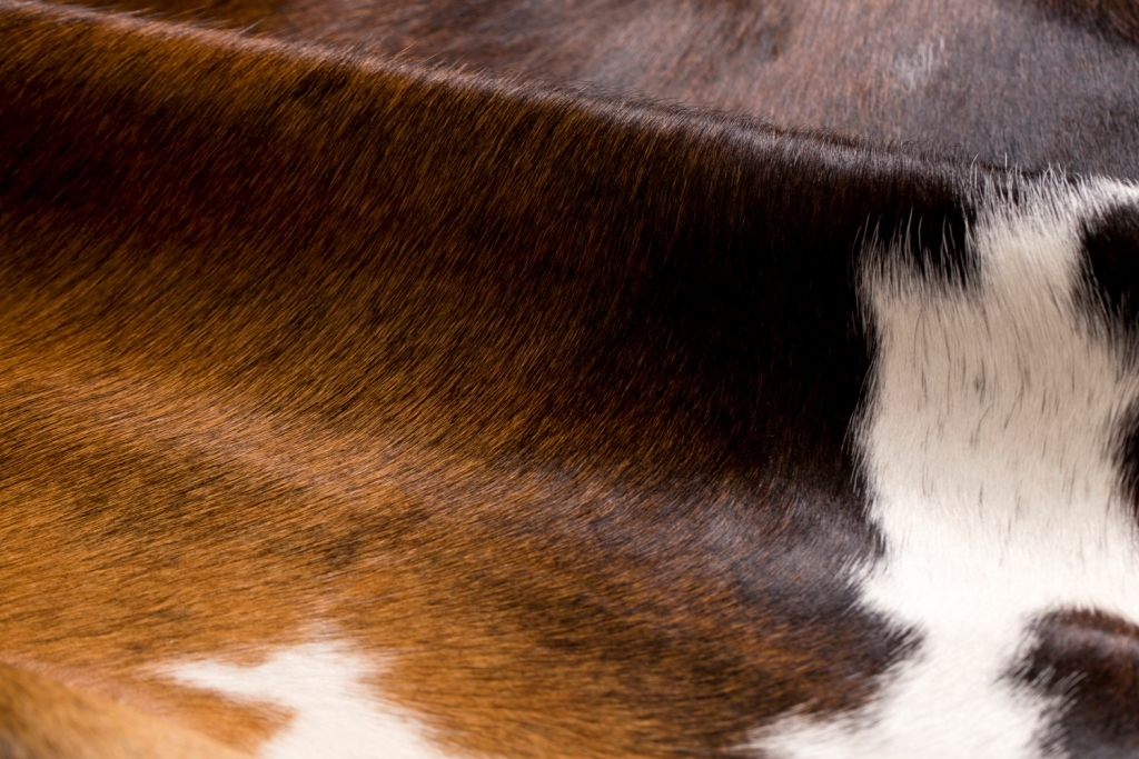 Crown-12 Detalhe.jpg