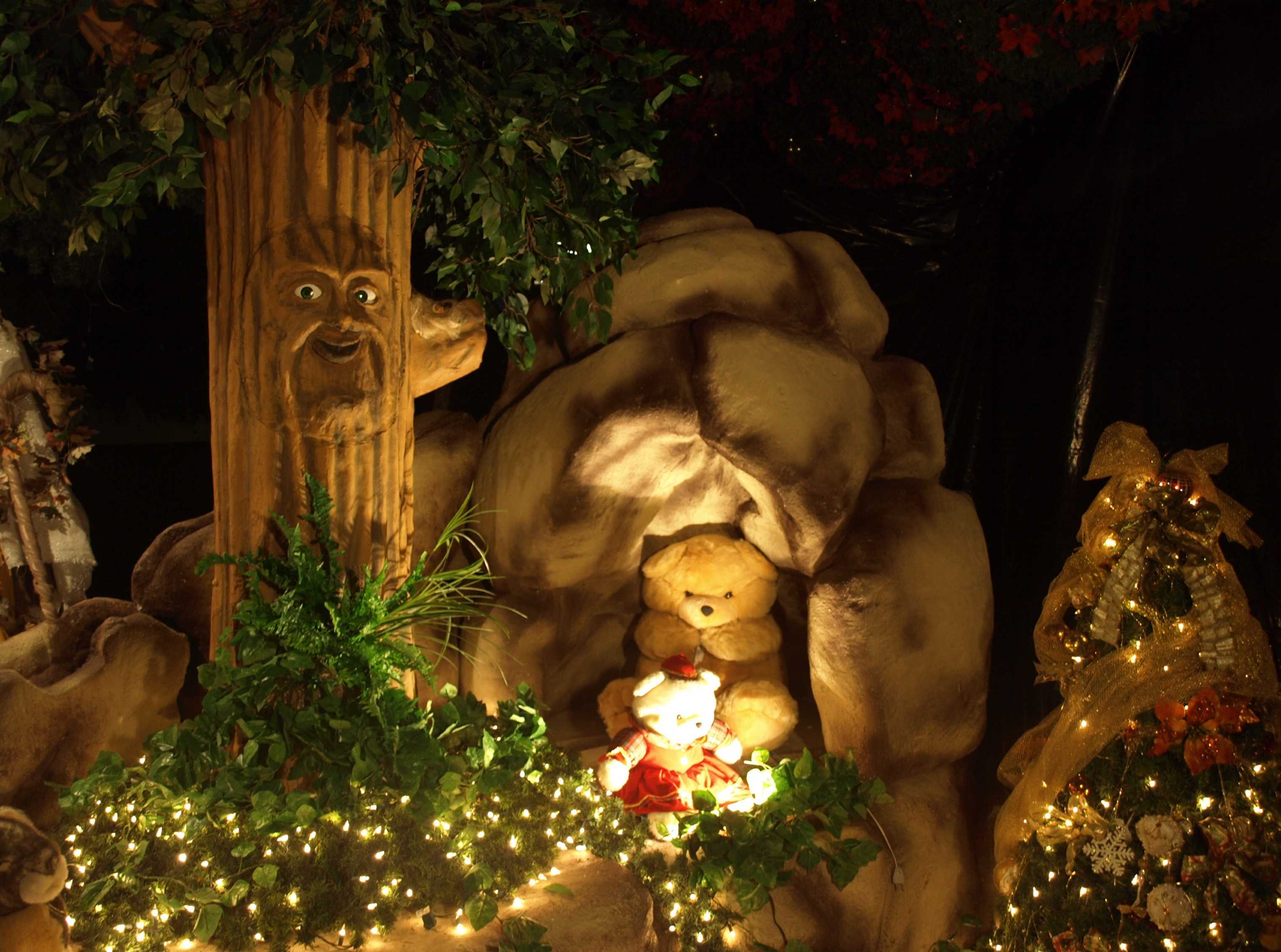 NATAL DA FLORESTA.jpg