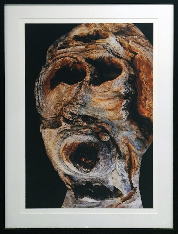 Claude Mollard Fotografia 2008 101x75 Drios.jpg