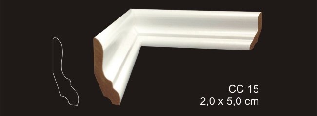 CC 15 - 2,0 x 5,0 cm.jpg