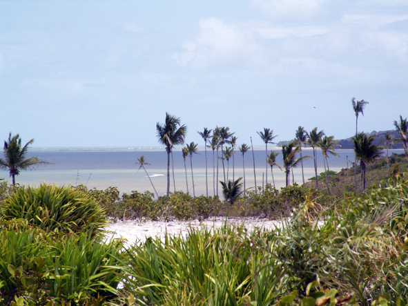 PONTA DO MOREIRA_DSC09570.jpg