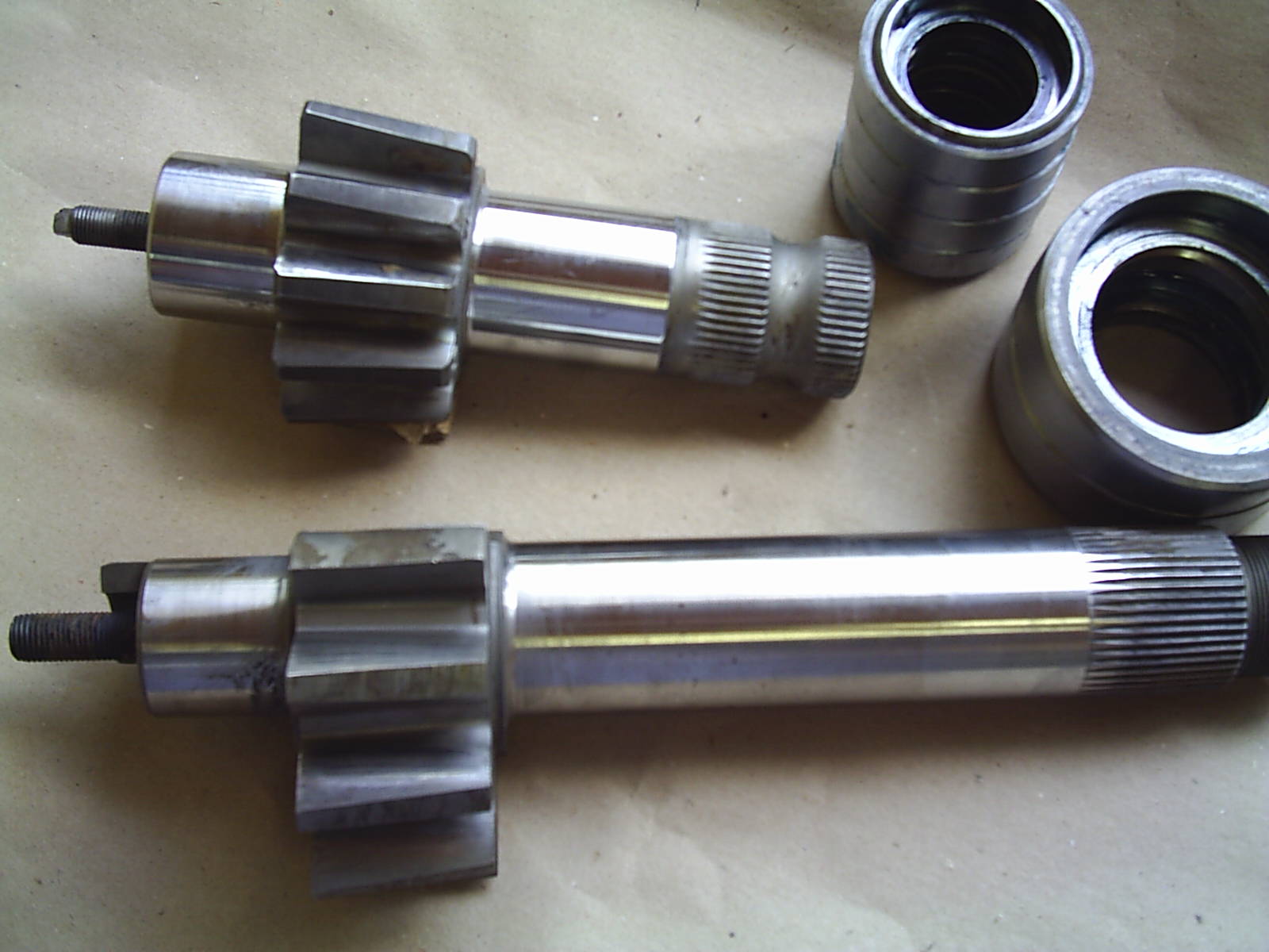 S2020137.JPG