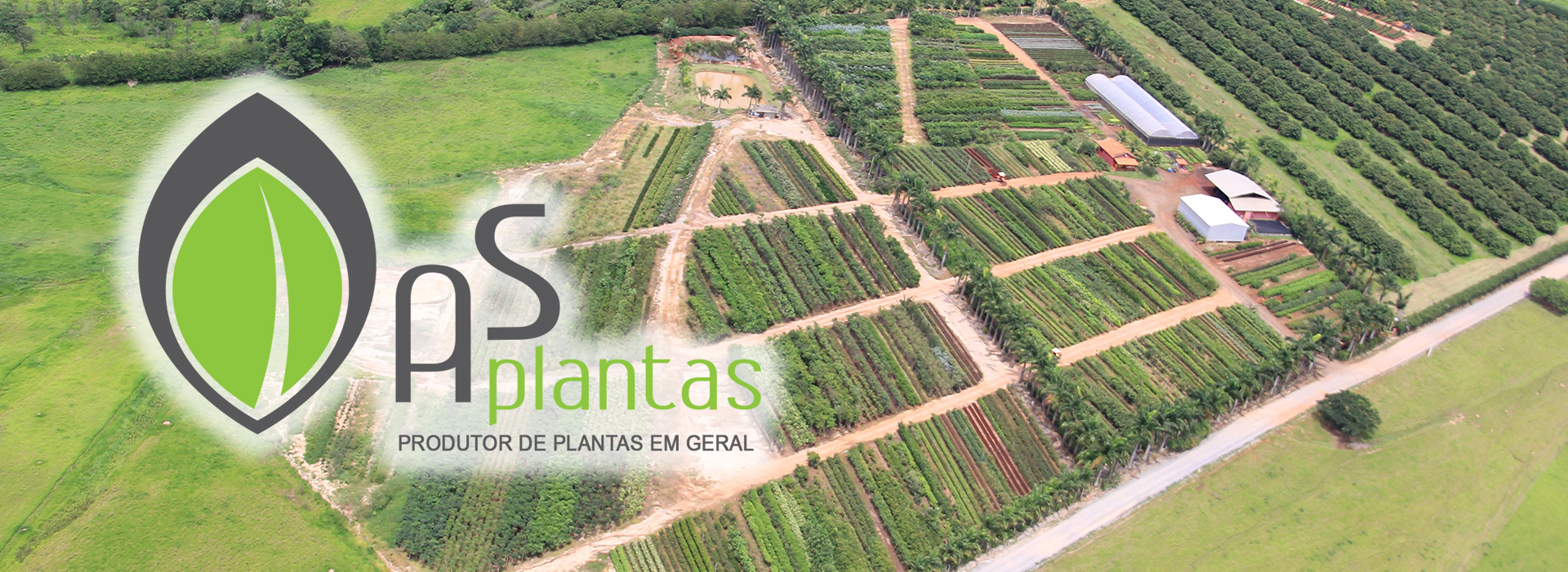 asplantas.jpg