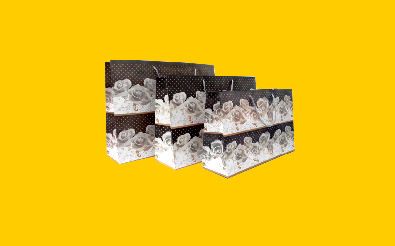 Bolsa Horizontal Decorada PR 8423 Branca.png