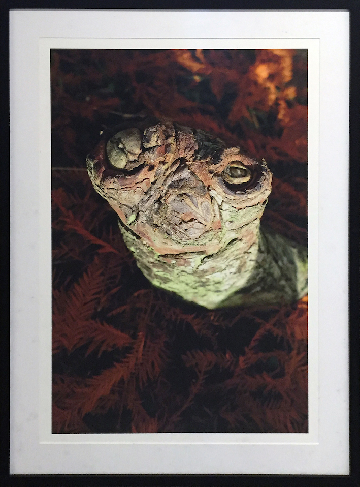 Claude Mollard 12.jpg