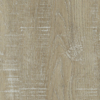 24037361 - Petúnia.jpg