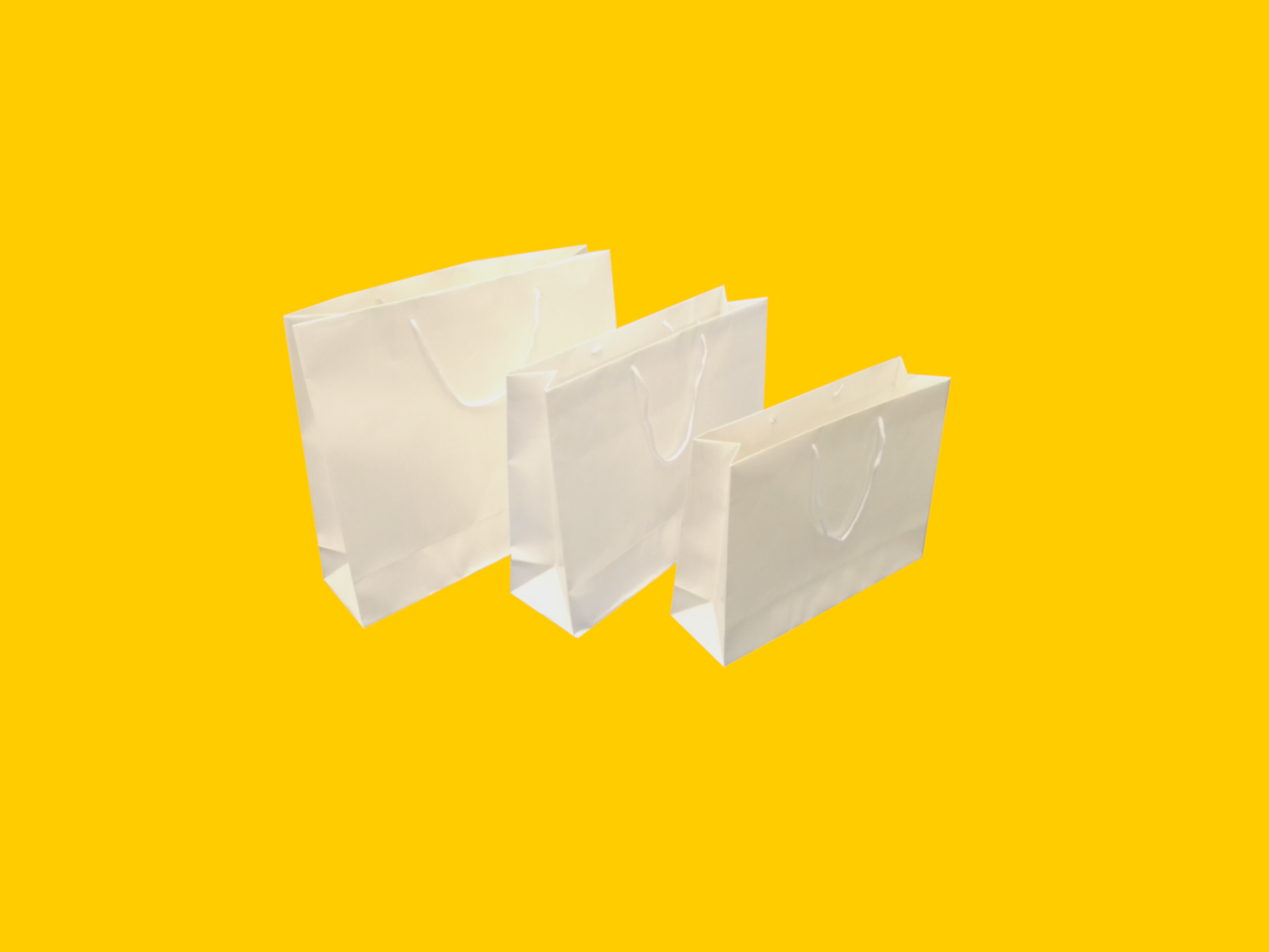 Bolsa Horizontal Plastificada Branca (Pequena, Média e Grande).png