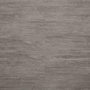 Rocky - 307 KW6312 Rembrandt.jpg