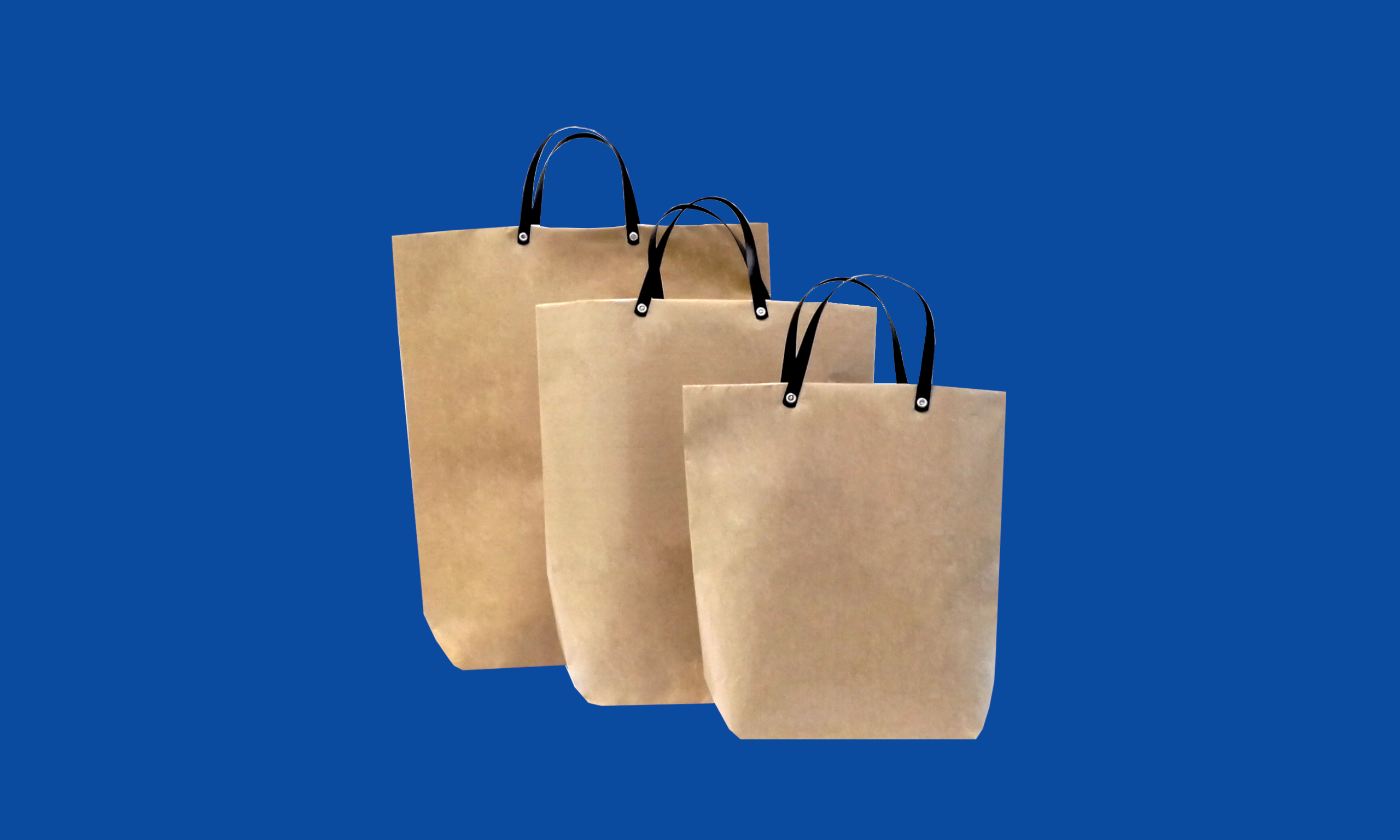 Conjunto Bolsa Reforçada com Alça Plástica Kraft.jpg