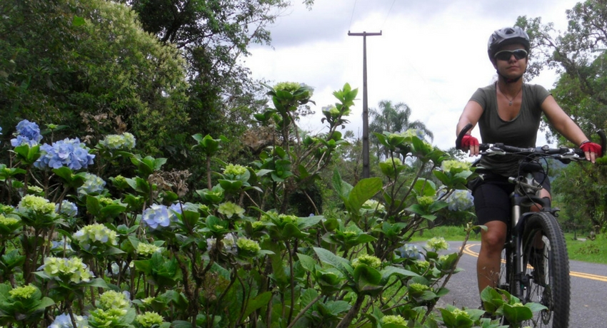 As bromélias deixa a Serra da Graciosa muito linda