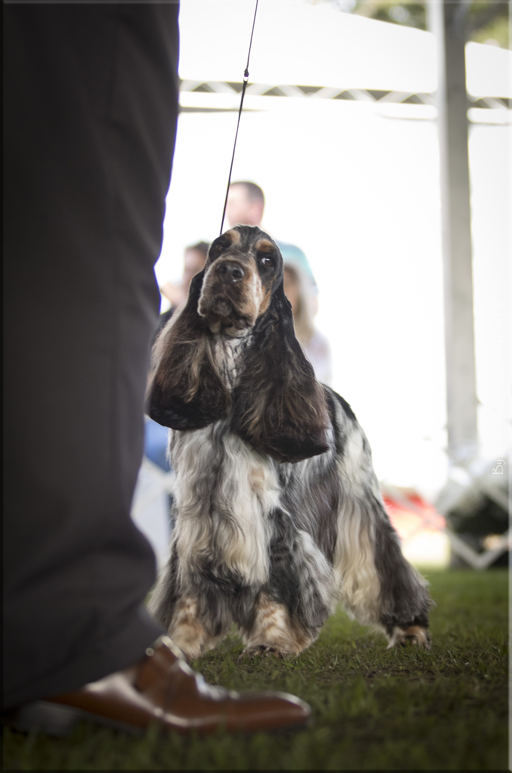 IMG_7758 copiarb.jpg