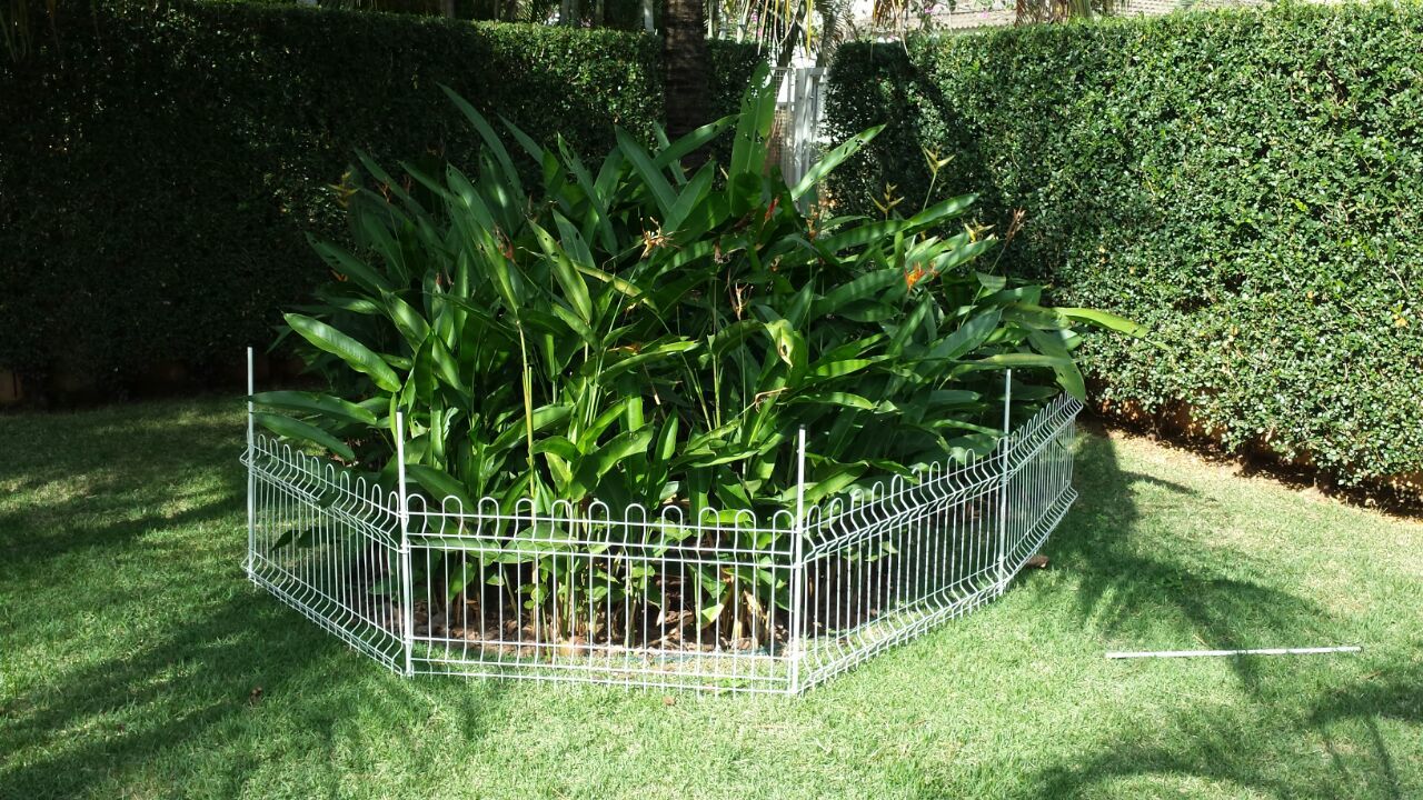 CelularBruno-26.10.15 173.jpg