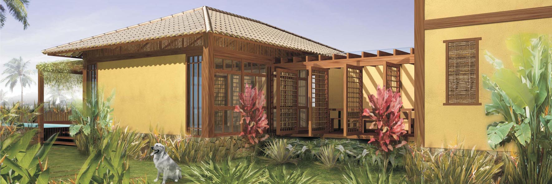 AROEIRA_imagem 5.jpg