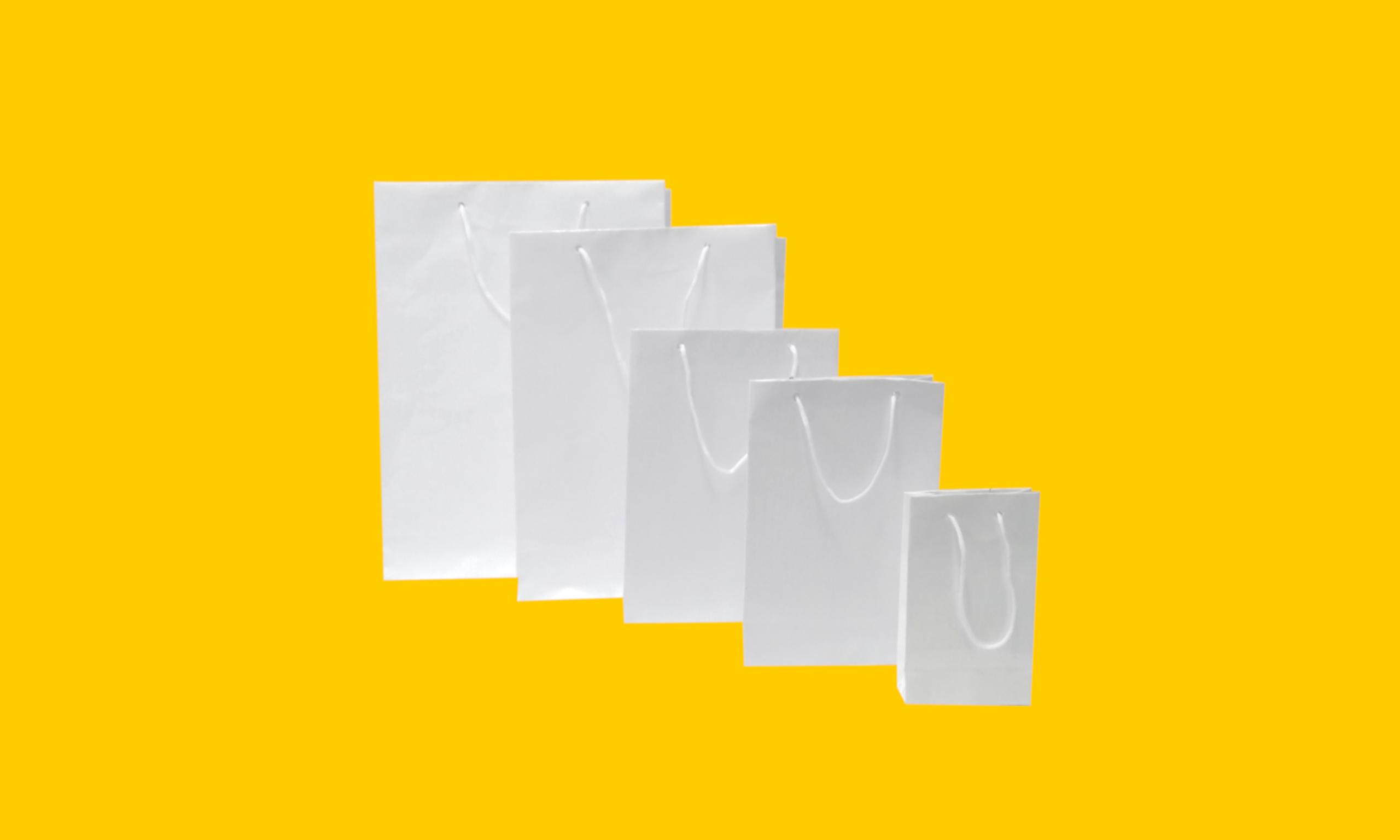 Bolsa Boutique Plastificada Branca (Mini, Pequena, Média, Grande e Gigante).png