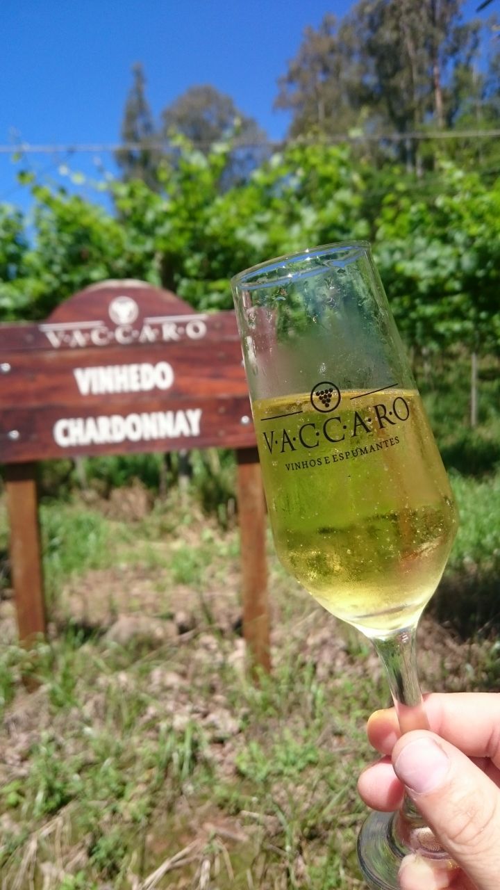 WhatsApp Image 2018-04-26 at 15.24.43.jpeg