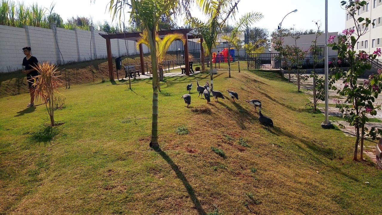 WhatsApp Image 2017-09-08 at 15.46.45 (1).jpeg