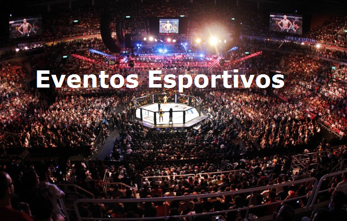 Foto-Arena-UFc-134-foto-divulga__o-ufc-wander-roberto11.png