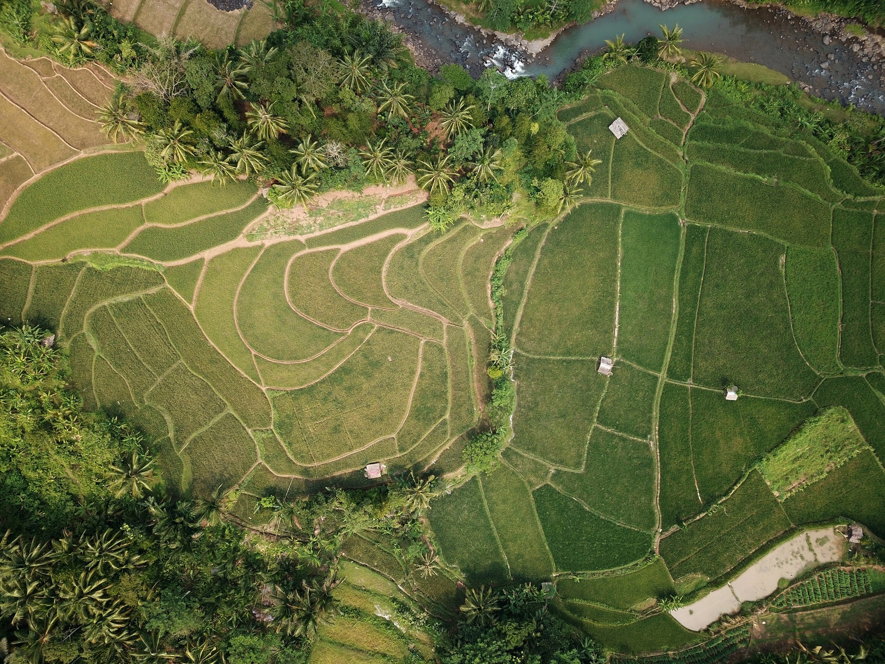 Drone Agricultura.jpg