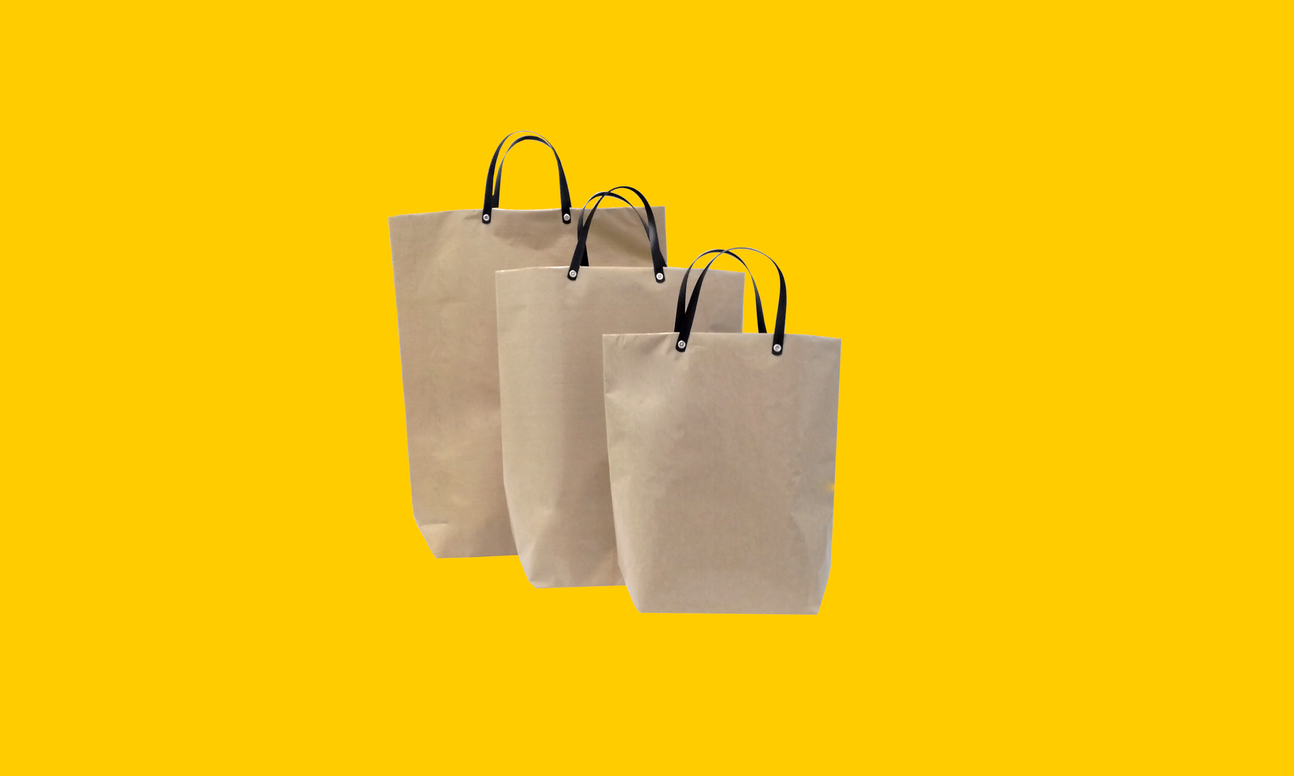 Bolsa Reforçada Plastificada com Alça Plástica Kraft (Pequena, Média e Grande).png