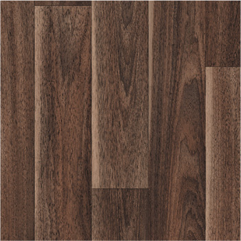 6519089 - Hazelnut Brown.jpg