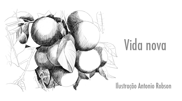 Vida nova_pag72_Sorocabinha.jpg