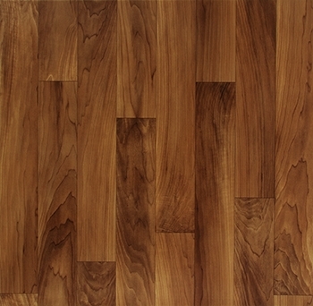 Absolute Madero - 9247657.jpg