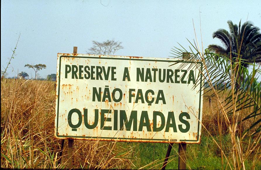 A Natureza de Krajcberg31.JPG