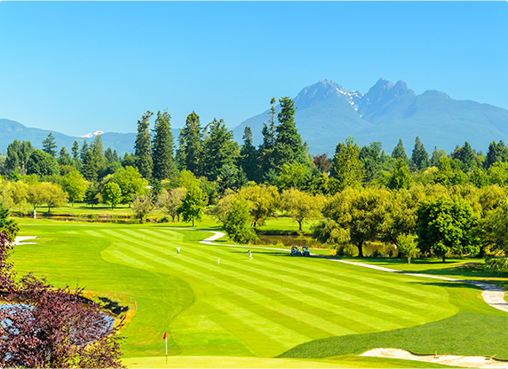 Ralo Linear Pavimento Permeável Barreira de Raiz