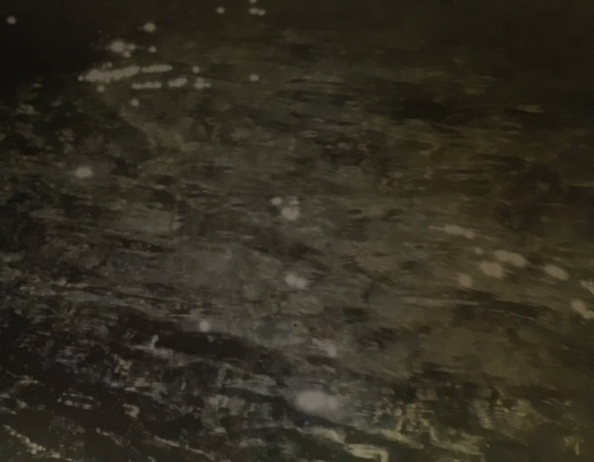 Cópia de FullSizeRender(3).jpg