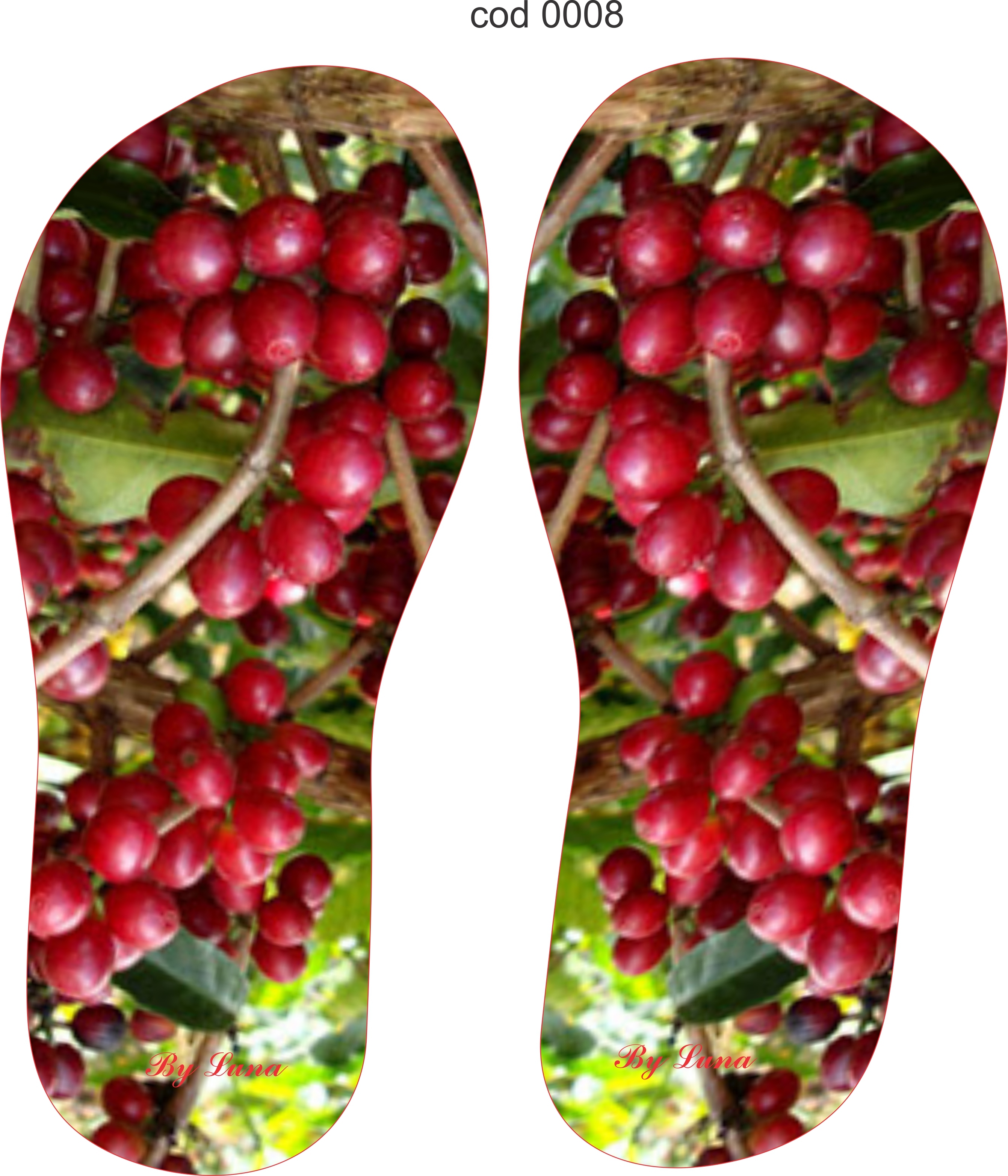 cod0008.jpg