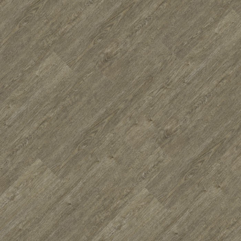 9347668 - Cupuaçu.jpg