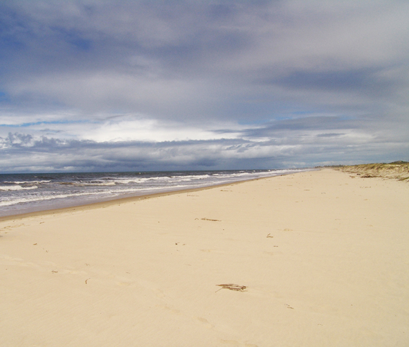 KARA JOSÉ_DSC05368.JPG