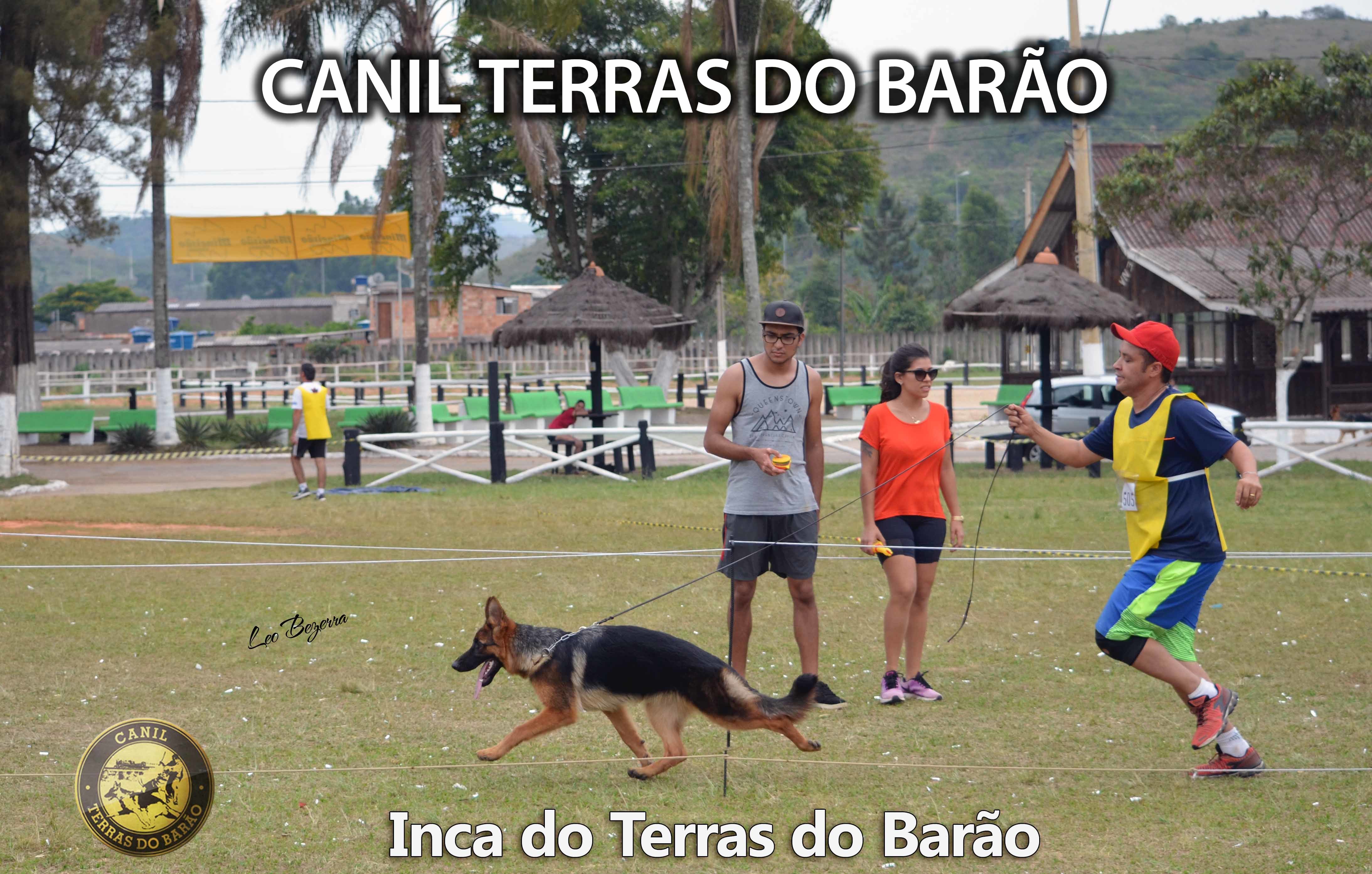 Inca Sudeste CBPA 2017 - 3.JPG