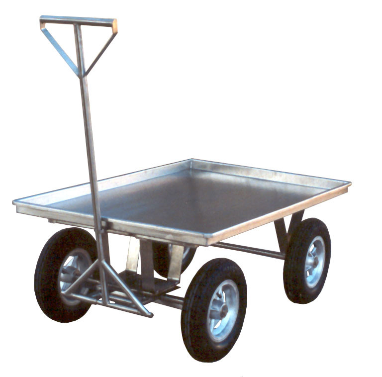 Carro Plataforma.jpg