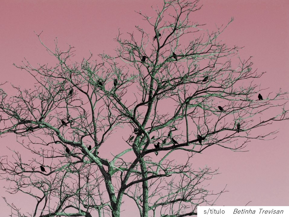 BETINHA TREVISAN.jpg