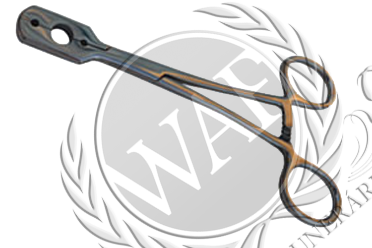 Fixador de Canula 3 Furos Marca.png