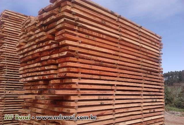 34858-220375-1143949-madeira-de-eucalipto-pellets-cavaco-wood-ships-biomassa-toras-p-serraria-mato-de-pe-floresta.jpg